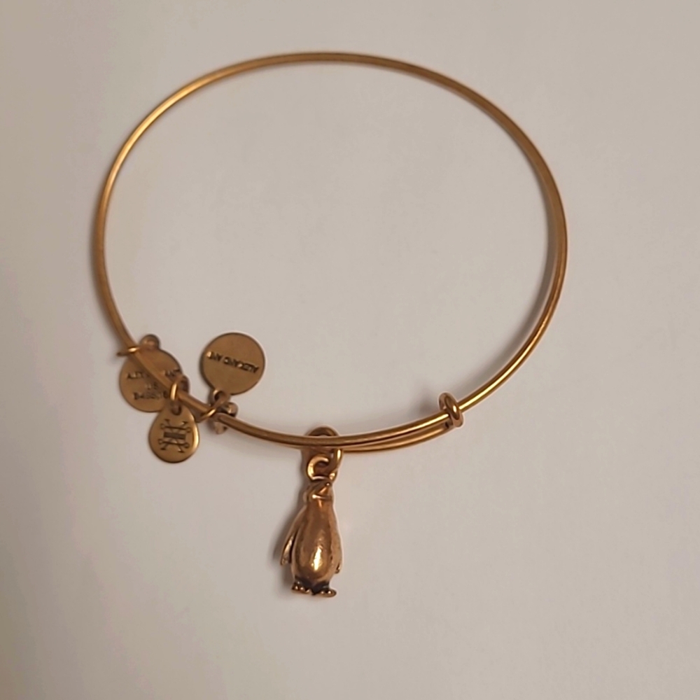 Alex and Ani Penguin bracelet